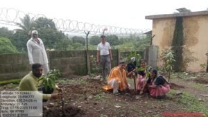 वृक्षारोपन कार्यक्रम